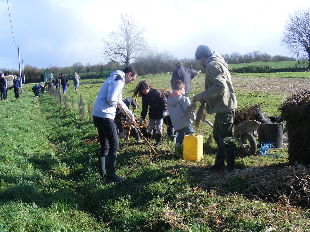 St Germier (79340)-2 mars 2016-2km de haies sont plantées par la commune avec l'aide de la Région, du CPIE Gâtine Poitevine et du CSC79 des Forges © Francis Glorie
