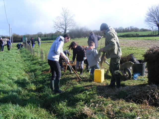 St Germier (79340)-2 mars 2016-2km de haies sont plantées par la commune avec l'aide de la Région, du CPIE Gâtine Poitevine et du CSC79 des Forges © Francis Glorie