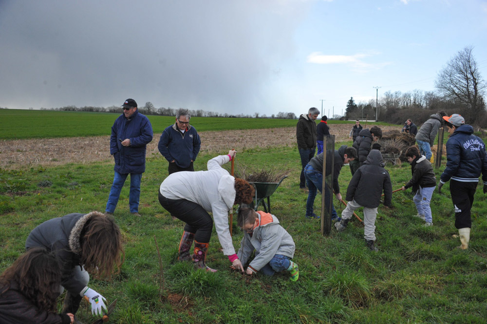 St Germier (79340)-2 mars 2016-Jeunes et adultes se mobilisent autour du chantier de plantation de haies © Louise Baheux