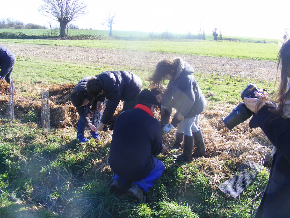 St Germier (79340)-2 mars 2016-Jeunes et adultes se mobilisent pour le chantier de plantation de haies © Francis Glorie