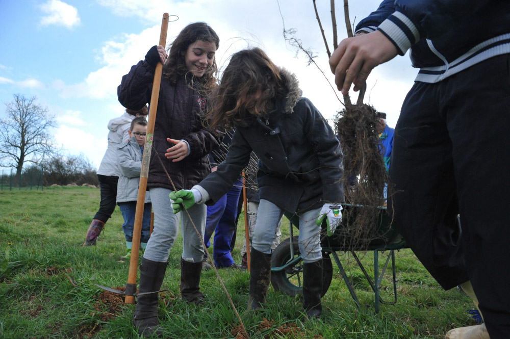 St Germier (79340)-2 mars 2016-Les enfants aidés des adultes participent au chantier de plantation de haies © Louise Baheux