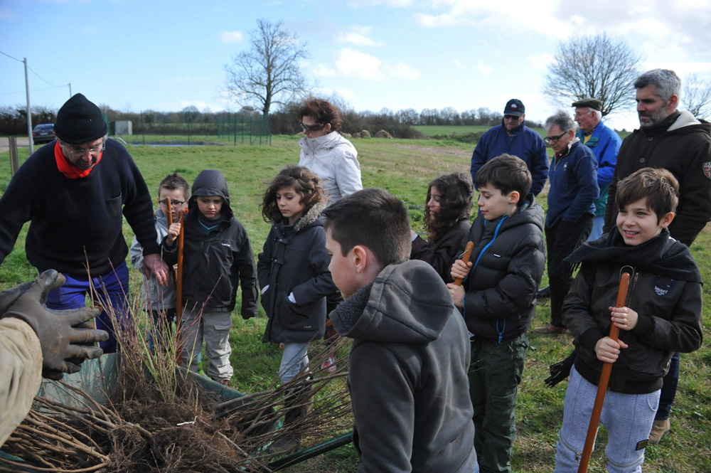 St Germier (79340)-2 mars 2016-Les enfants et les adultes participent au chantier de plantation de haies © Louise Baheux