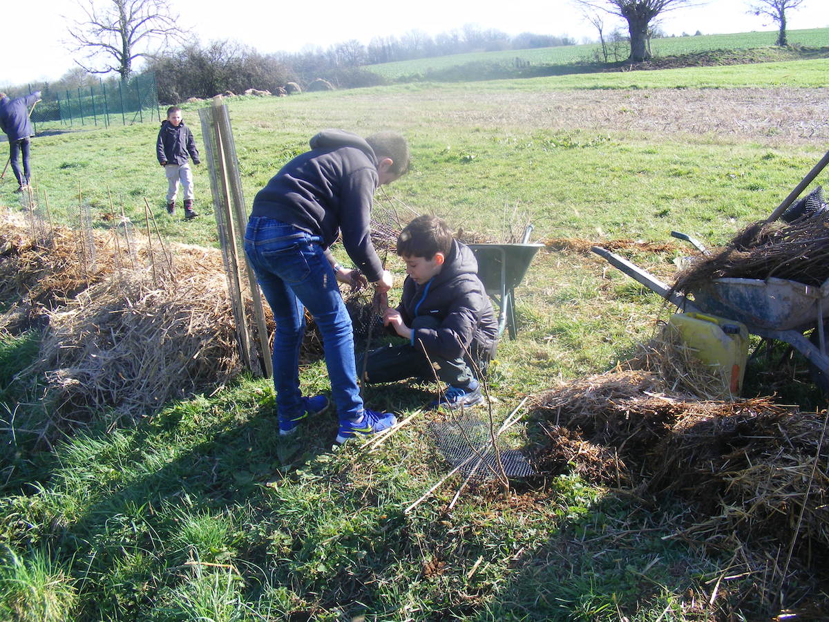 St Germier (79340)-2 mars 2016-Les enfants se mobilisent pour le chantier participatif de plantation de haies © Francis Glorie