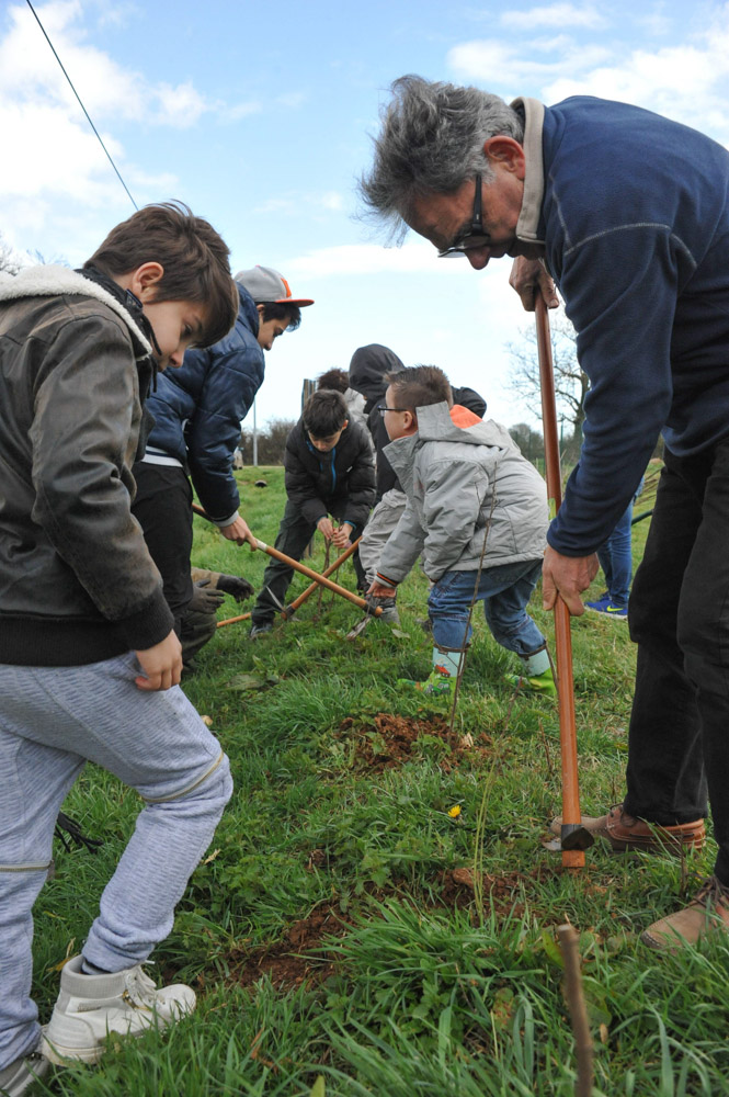 St Germier (79340)-2 mars 2016-Les enfants sont aidés par le maire, Jean-François Lhermitte, à planter les haies © Louise Baheux
