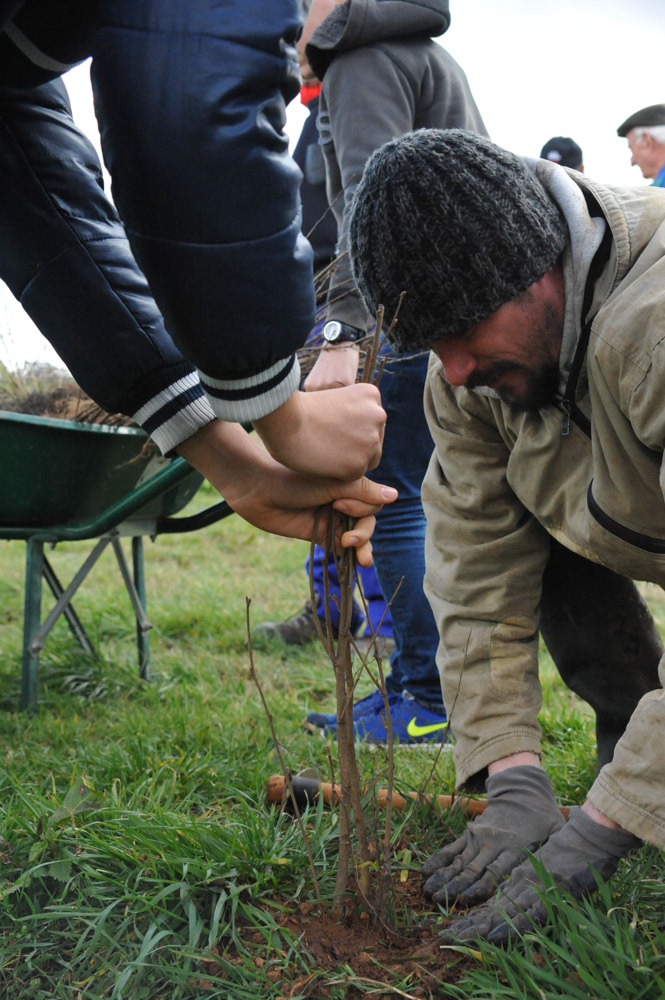 St Germier (79340)-2 mars 2016-Sébastien Trouvé du CSC des Forges aident les enfants et les ados participent à planter les haies © Louise Baheux