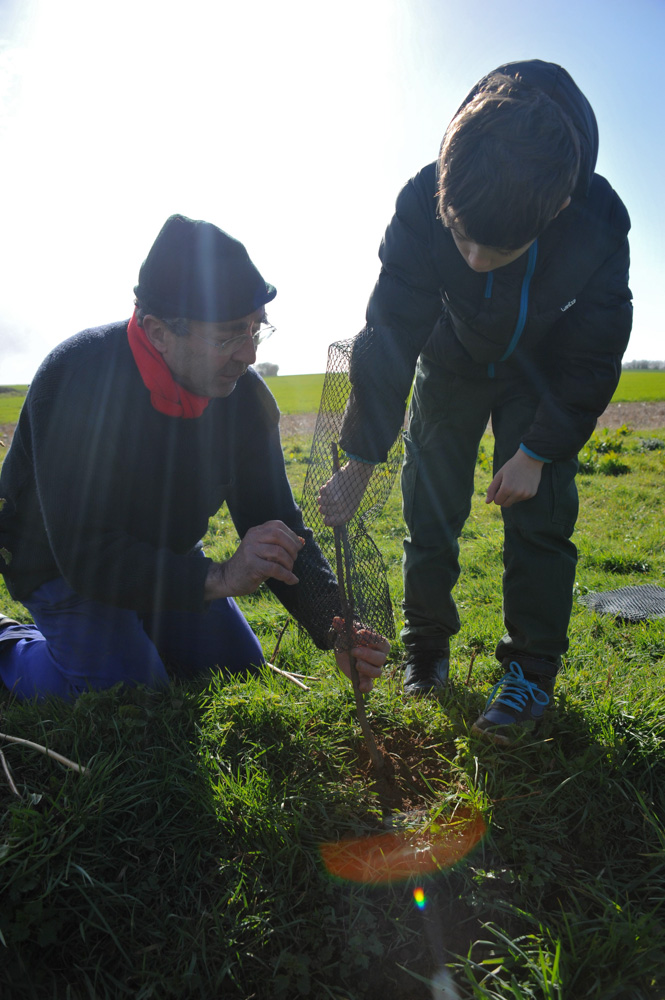 St Germier (79340)-2 mars 2016-Un enfant du village est aidé par Jean-Pierre Poteau, bénévole du CPIE de Gâtine Poitevine, pour planter la haie © Louise Baheux