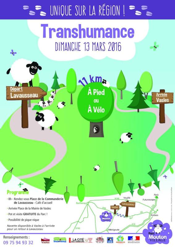 Transhumance Mouton Village