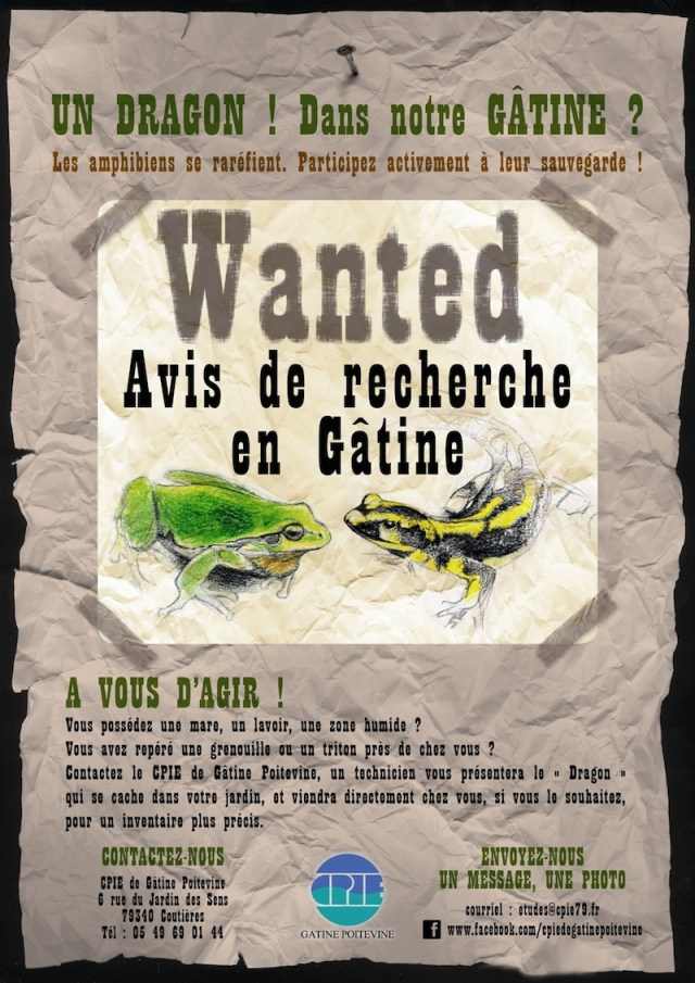 Un Dragon - Affiche A3-mail