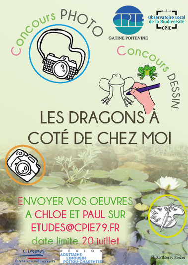 Concours Dessin Dragon