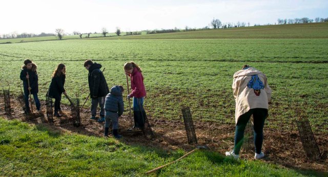 6784-plantation-de-haies-avec-les-enfants-saint-germier-2017-laurent-baheux