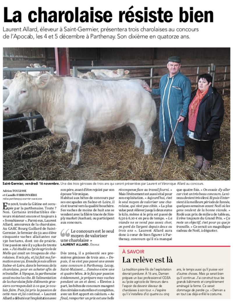 20181126-Courrier-La Charolaise résiste bien