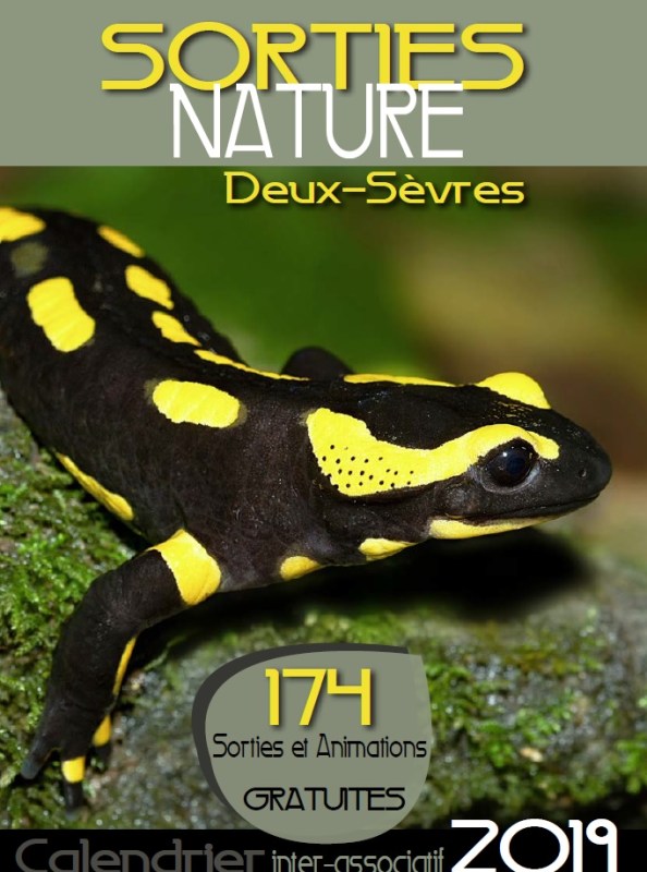 Triton marbré en Deux Sèvres © DSNE